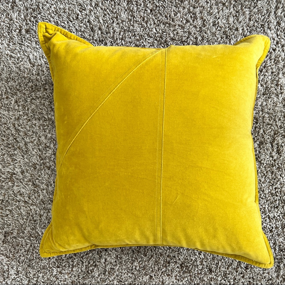 West Elm - Washed Cotton Velvet Pillow Covers